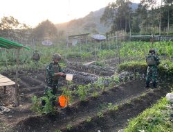 Satgas Yonif 112/DJ Dorong Program Ketahanan Pangan Nasional Di Papua