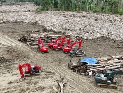 TNI Kerahkan Puluhan Alat berat bersihkan tumpukan kayu di Desa Geudumbak, Kecamatan Langkahan, Kabupaten Aceh Utara