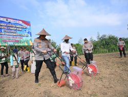 Kapolres Pidie Ikuti Tanam Raya Jagung Serentak Kuartal I 2026 Secara Virtual Bersama Kapolri