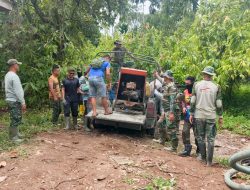 Prajurit TNI dan Warga Percepat Pembangunan Jembatan Gantung di Lawe Ger-Ger, Aceh Tenggara