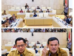 ‎Dek Fadh Sampaikan Sejumlah Persoalan Pertanahan Aceh dalam Raker dan RDP Komisi II DPR RI